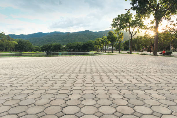 Best Custom Driveway Pavers  in Brillion, WI